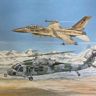 Recent commission for a husband/wife team of warriors assigned to Naval Air Weapons Development Center at Fallon, Nevada 24